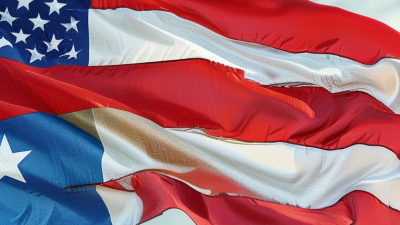 Top 10 Custom Flags for Global Buyers to Consider?
