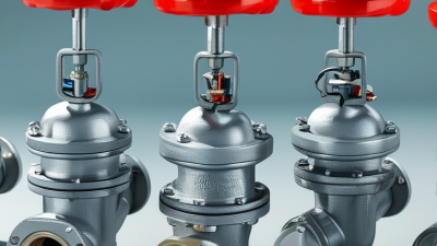 How to Choose the Right 2 Pressure Relief Valve for Your Needs?