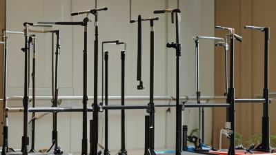 Top 10 Person Lift Assist Devices Buyers Need to Know?