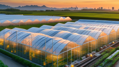 What Is the Best Smart Greenhouse from China?