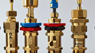 How to Choose an Angle Valve in 2026?