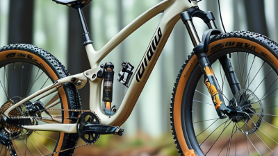7 Tips for Choosing Bicycle Front Suspension?
