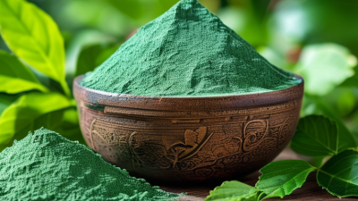 How to Buy Sodium Copper Chlorophyllin Powder in Bulk?