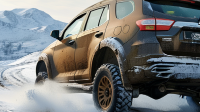 How to Choose the Best Off Road Snow Tires?