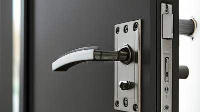 10 Tips for Choosing the Best Security Doors?
