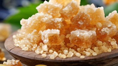 10 Best Erythritol Made From Corn Suppliers?