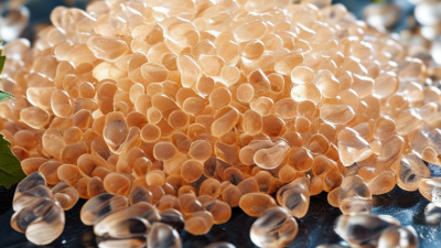 7 Tips for Choosing a Fish Collagen Factory?
