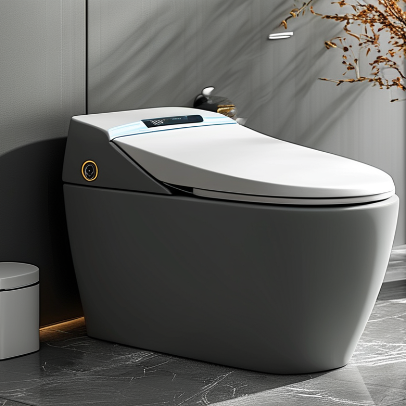 2026 Top Ceramic Gray Automatic Smart Toilet Reviews?