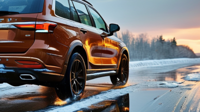 7 Tips for Choosing Performance All Season Tires?