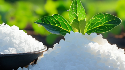 China Top Water Soluble Potash Fertilizer Suppliers?