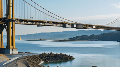 How to Choose Portland Concrete for Global Projects?