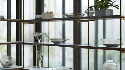 How to Choose the Best Glass Shelf Support from China?