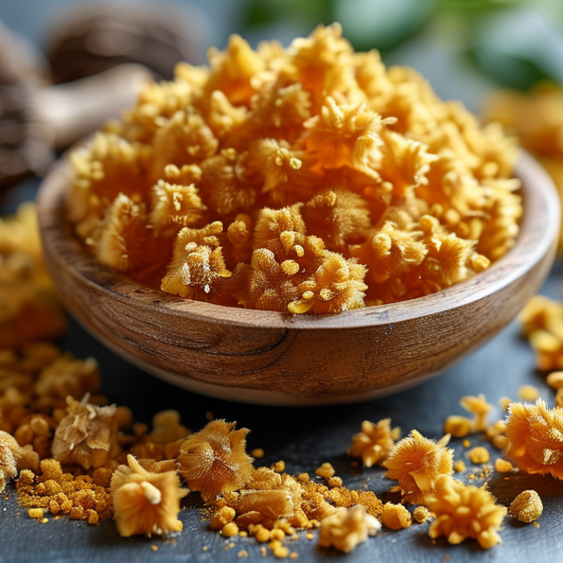 How to Source Lion's Mane Mushroom Extract in 2026?