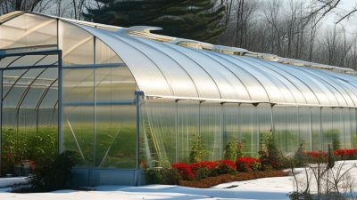 China Top 10 High Tunnel Manufacturers for Global Buyers