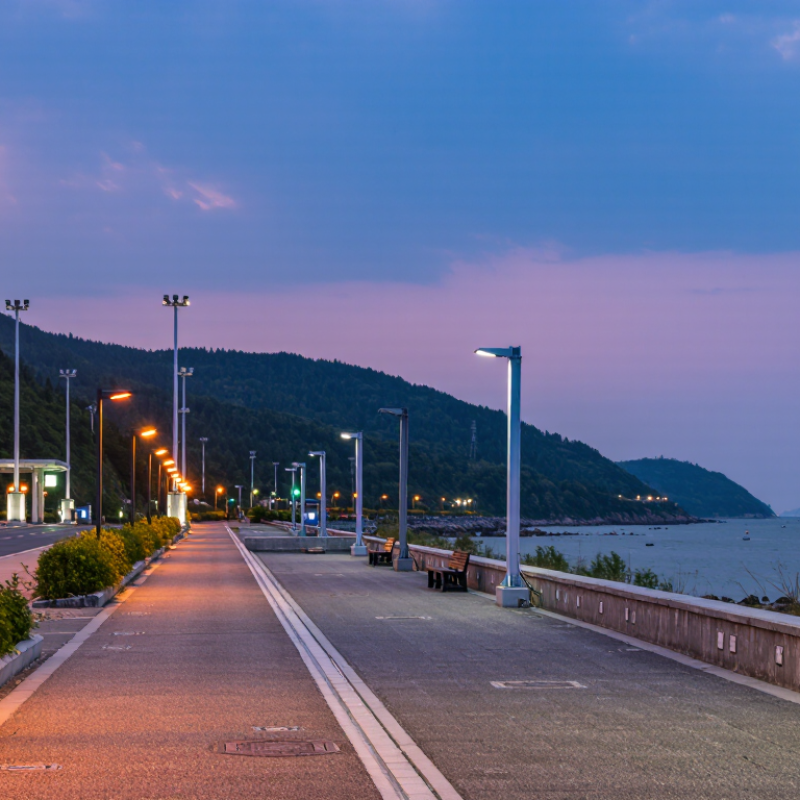 How to Choose Outdoor Light Poles in 2026?