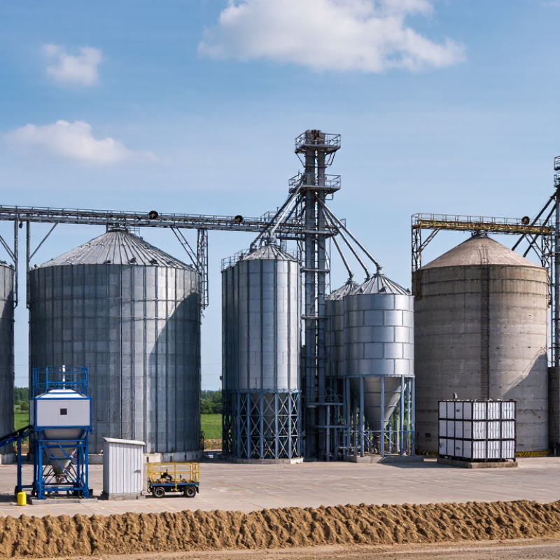 2026 Top Grain Silo Types What Global Buyers Need to Know?