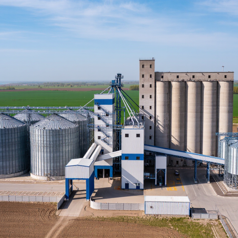 2026 Best Grain Silo Types for Global Buyers?