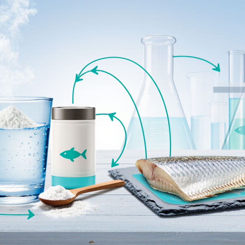 What Is Marine Collagen and What Is It Used For?