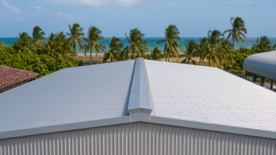 2026 Best Types of Steel Roofing for Global Buyers?