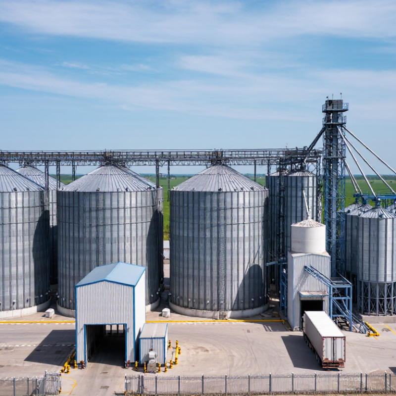 How to Choose the Right Grain Silo for Global Buyers?