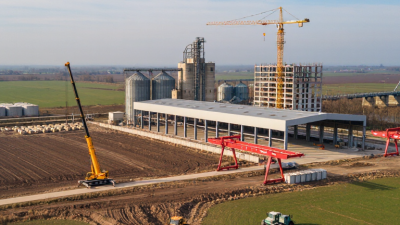 Top 10 Types of Cranes in Iowa for Global Buyers