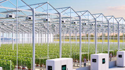 7 Best Industrial Greenhouse Suppliers for Global Buyers?
