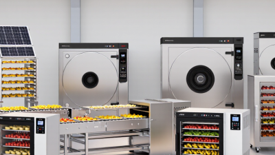 Top 10 Types of Fruit Vegetable Dryers for Global Buyers