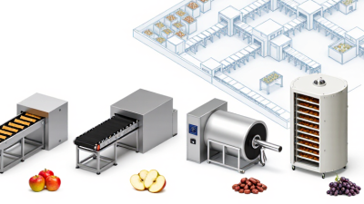 2026 Top Dried Fruit Dryer Types for Global Buyers
