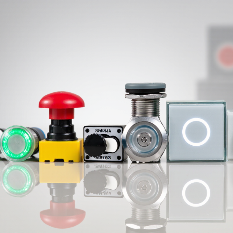 What Are the Top 10 Types of Pushbutton Switches in China?