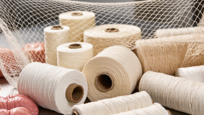 China Top Butchers Netting Suppliers for Global Buyers?