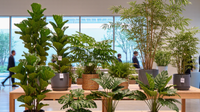 China Top 10 Artificial Plant Decor Manufacturers?