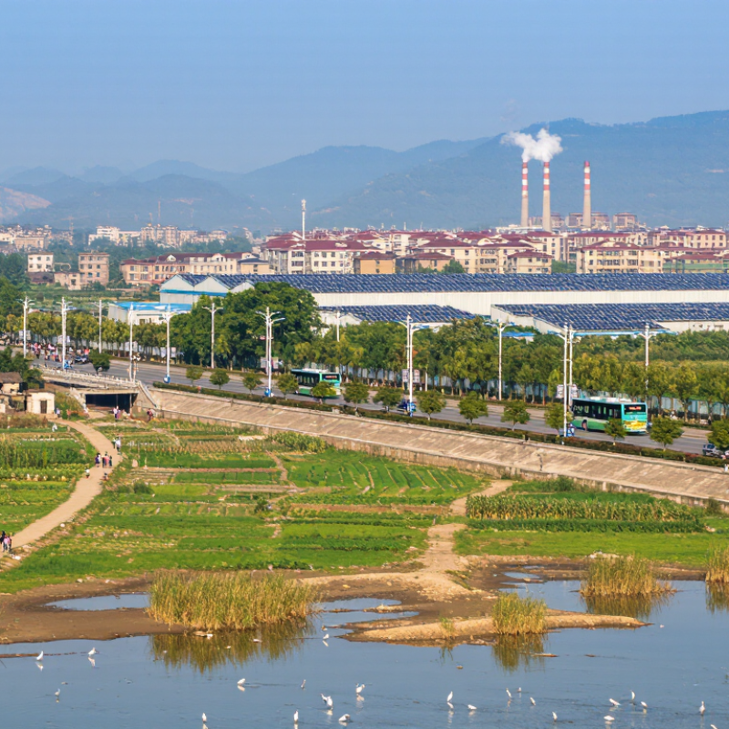China Best Coordinated Social and Ecological Development?