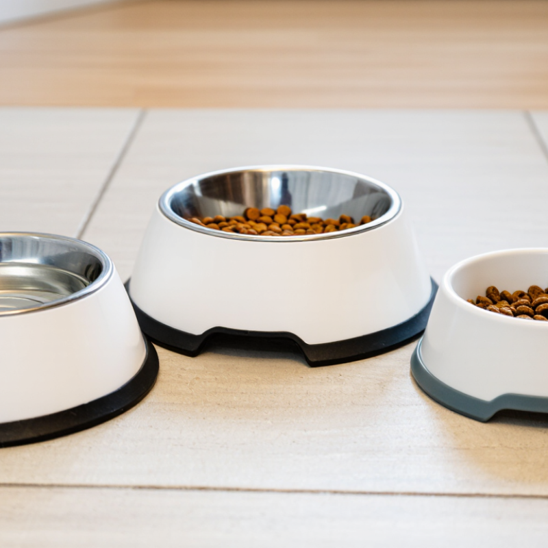 China Top Slip Resistant Dog Bowls for Wholesale