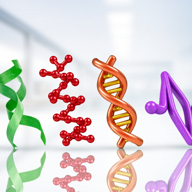 What Are the Top Types of Growth Factors in 2026?