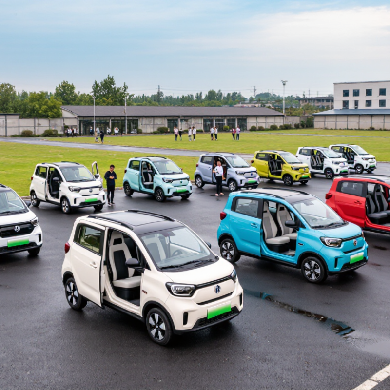 China Top 10 2 Passenger Electric LSV Manufacturers?