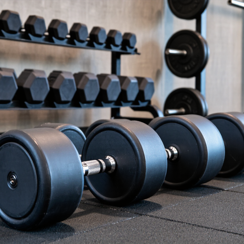 What Are the Top CPU Urethane Dumbbells in 2026?