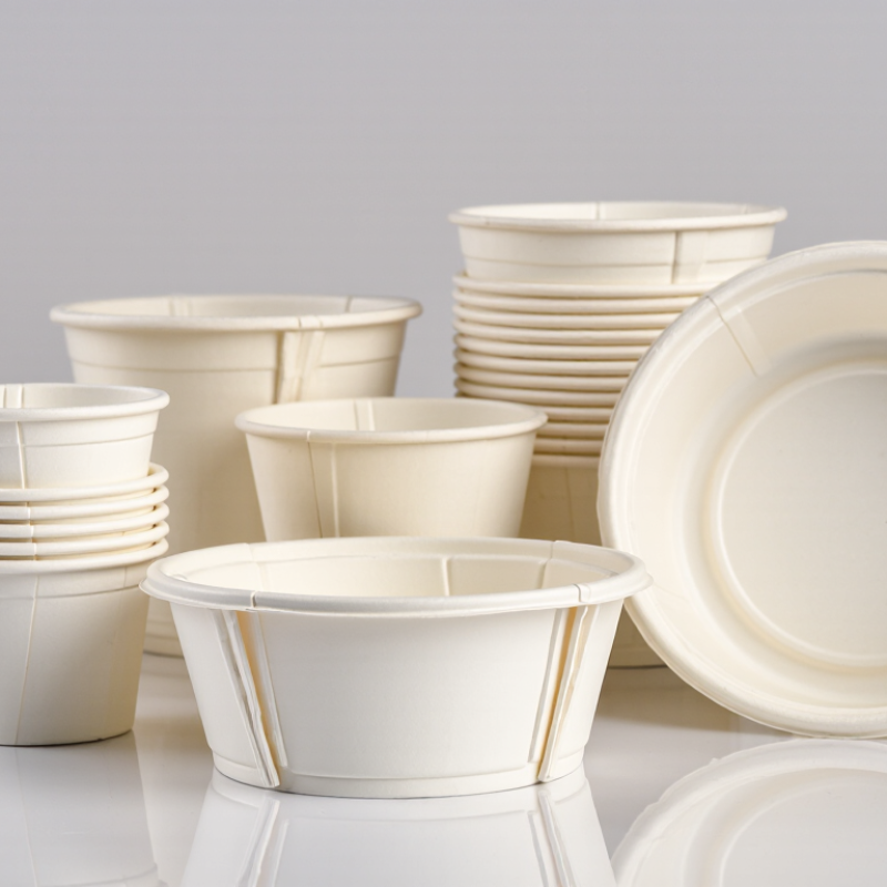 2026 Best Paper Bowl Manufacturers for Global Buyers