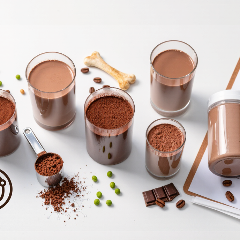 China Top 10 Choc Protein Powder Types for Global Buyers