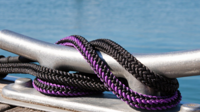 2026 Top Dock Bungee Lines for Global Buyers?
