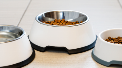 China Top Slip Resistant Dog Bowls for Wholesale