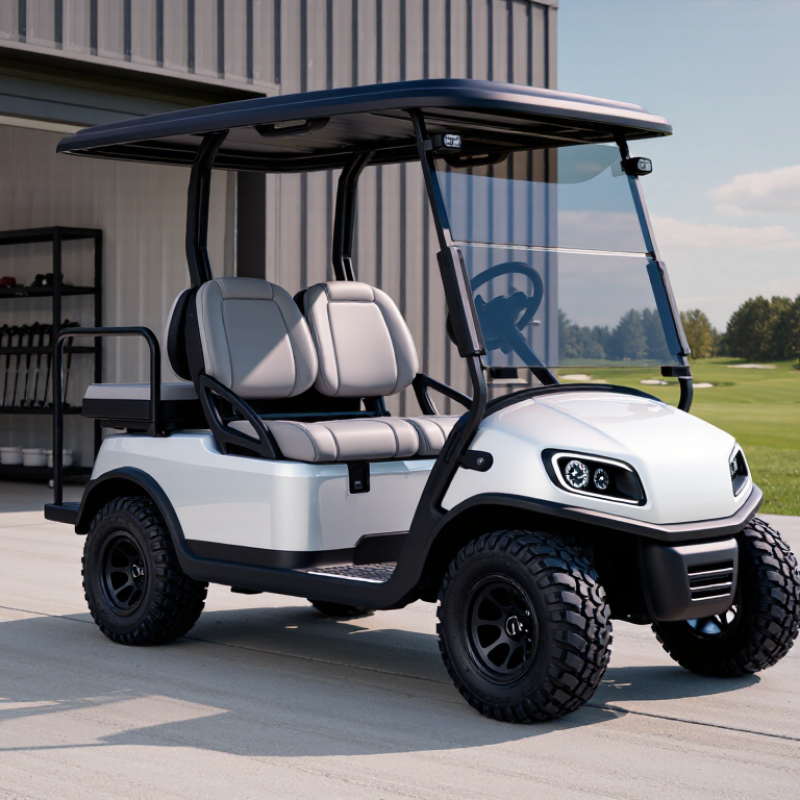 2026 Best 2 Passenger Golf Cart for Global Buyers?