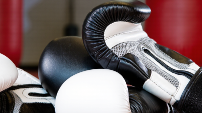 What Are the 2026 Best Hook and Loop Sparring Boxing Gloves?