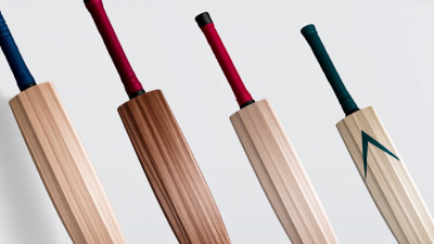 What Are the Different Types of Cricket Bats?