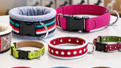 Top Custom Dog Collars for Wholesale Buyers