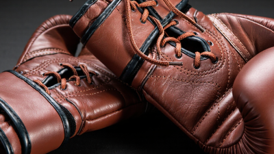 2026 Top Lace Up Professional Fight Boxing Gloves?