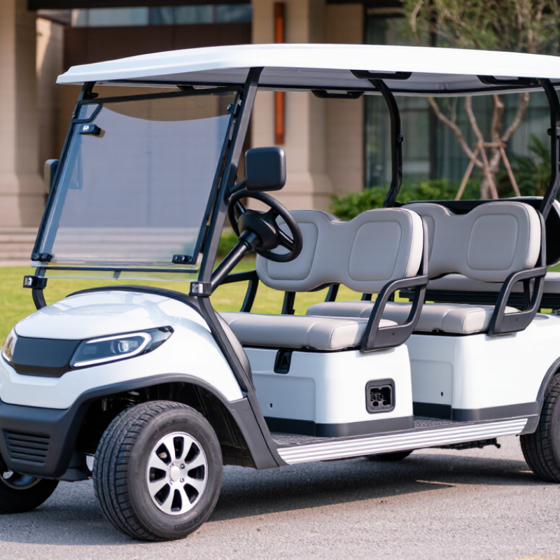 China Best 2-Passenger Electric Golf Cart Supplier?