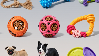 10 Best Good Quality Dog Toys for Wholesale Buyers?