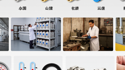 What Are the Best Quick Connectors in China?
