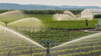 China Top Agricultural Water Sprinkler Manufacturers?