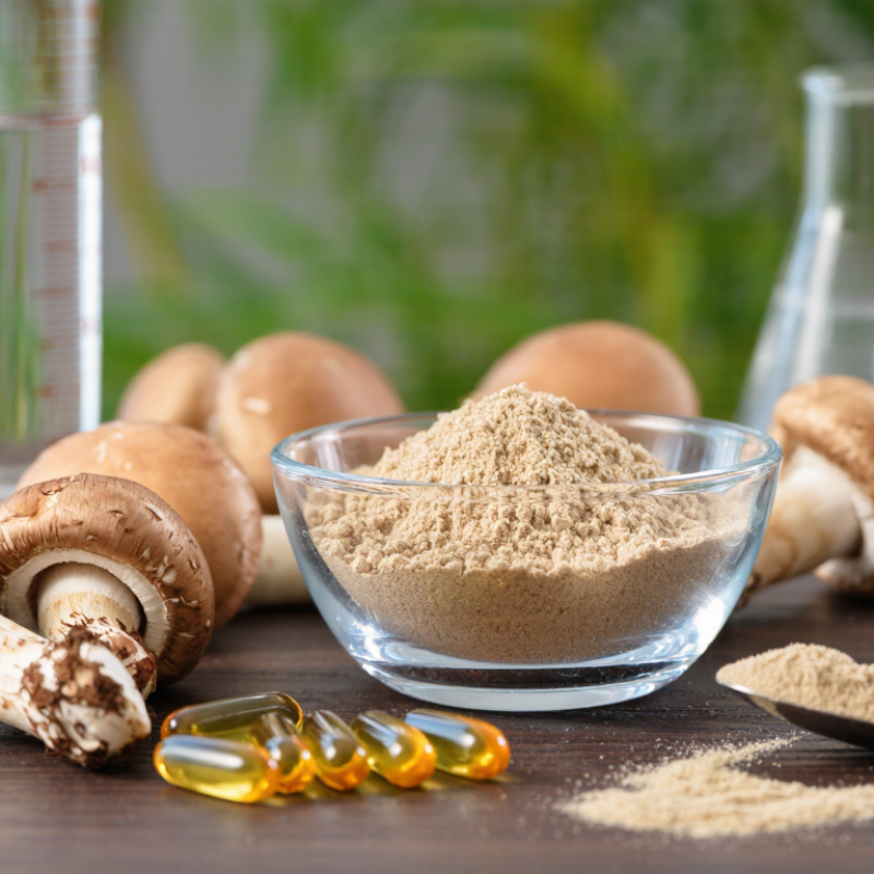 What Is the Best Type of Agaricus Blazei Extract in 2026?
